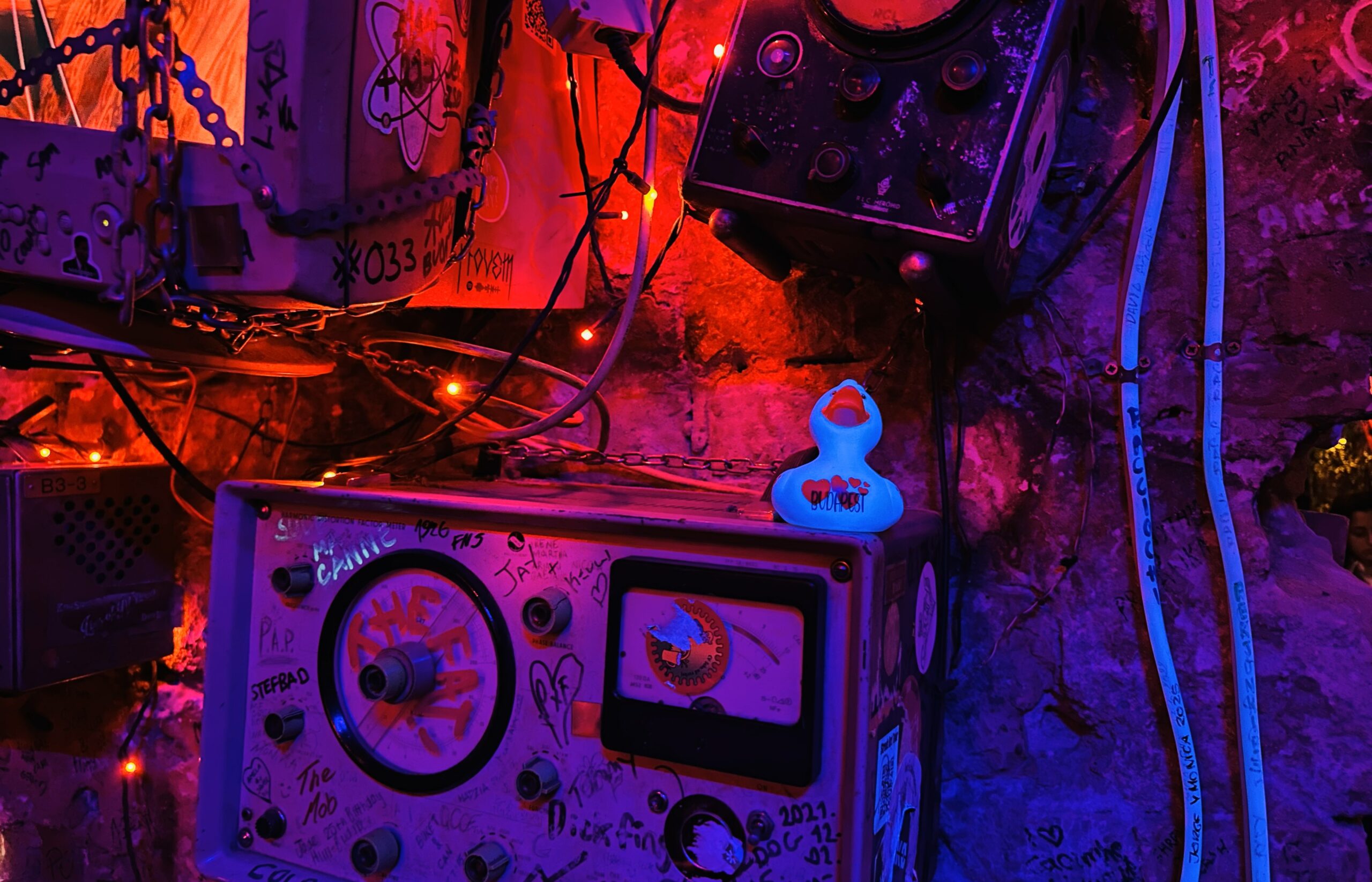 IMG_3554